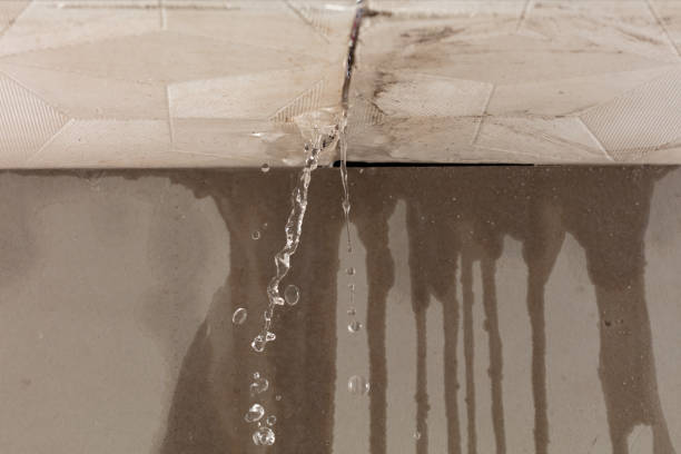Professional Structural Drying technician working in Olivet, NJ